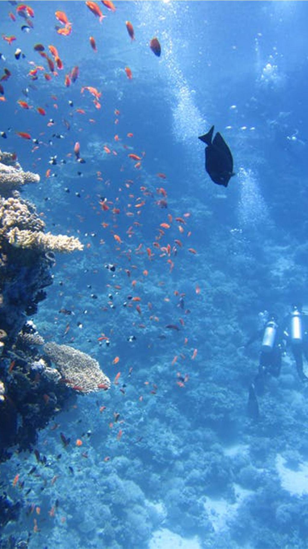 史上最美丽的大海