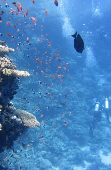 史上最美丽的大海-3