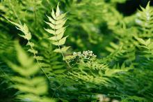 北海公园唯美迷人自然风光