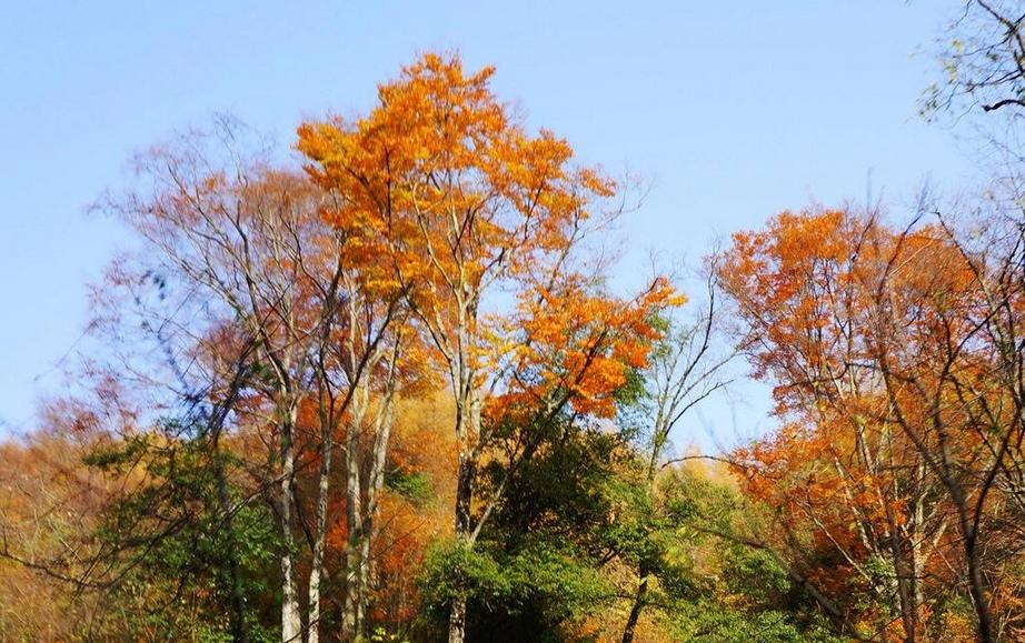 秋天的自然风景