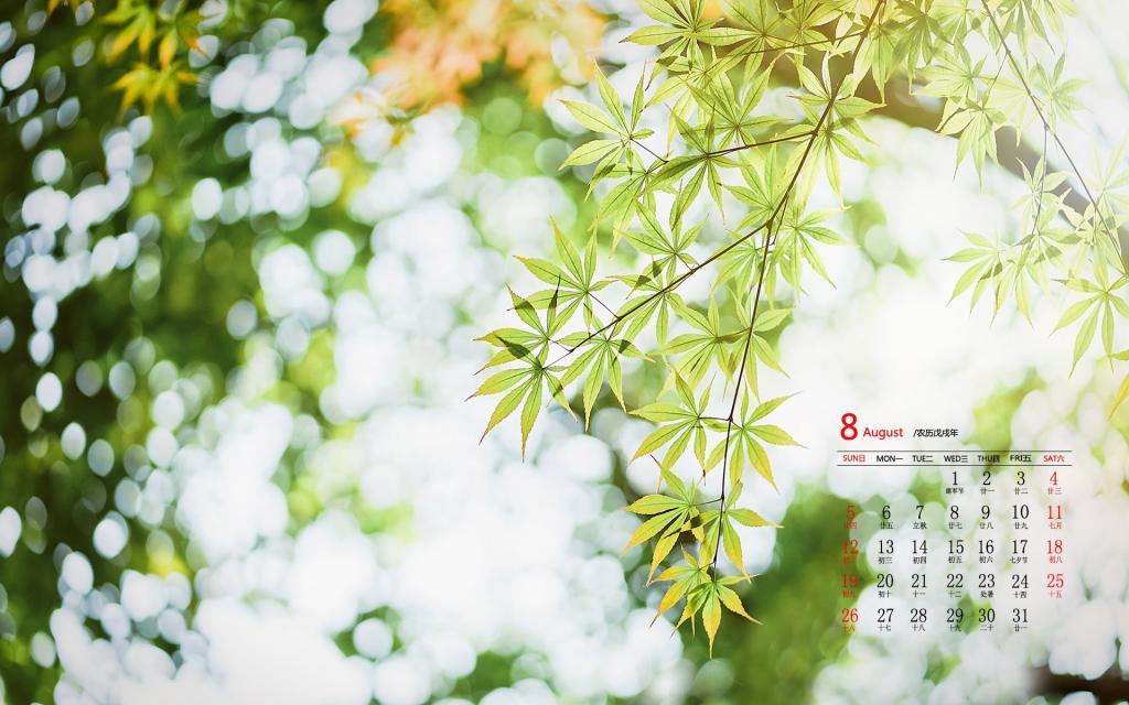2018年8月小清新护眼绿叶日历