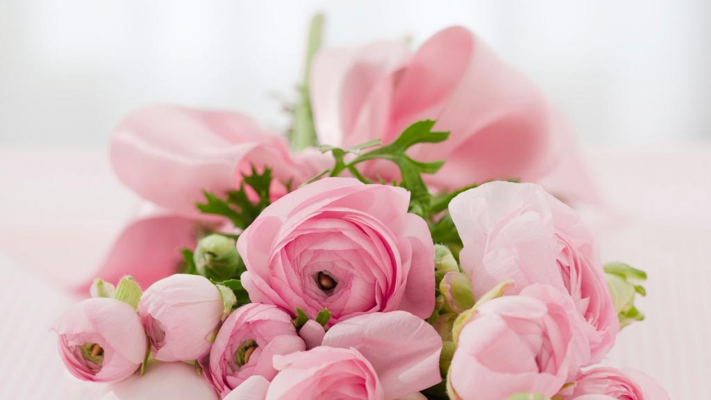 浪漫粉色情人花