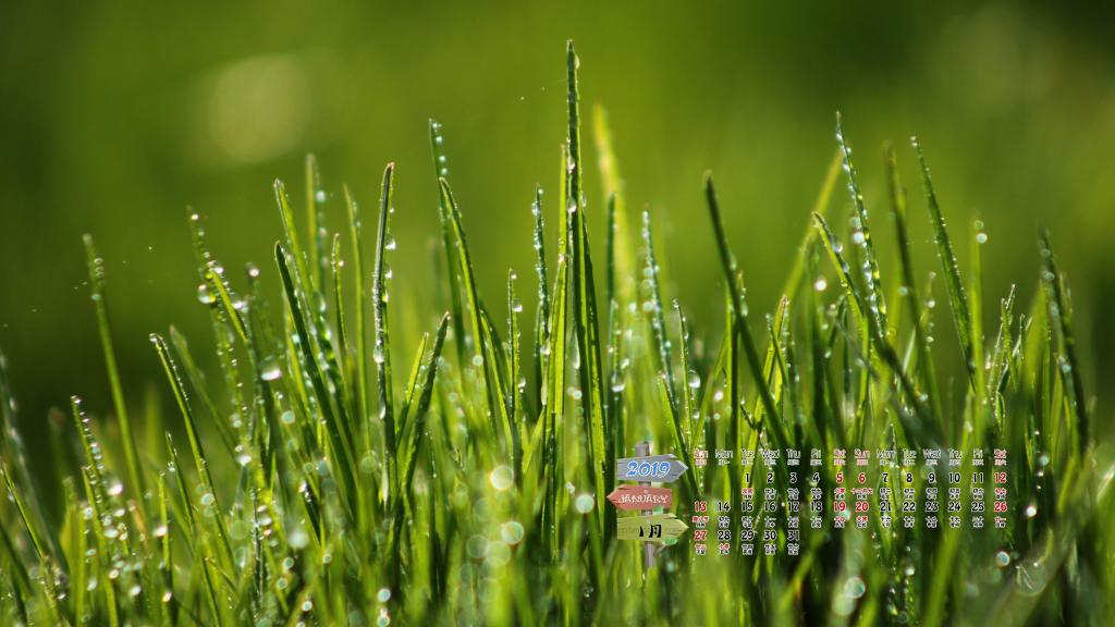 2019年1月满眼皆绿意日历