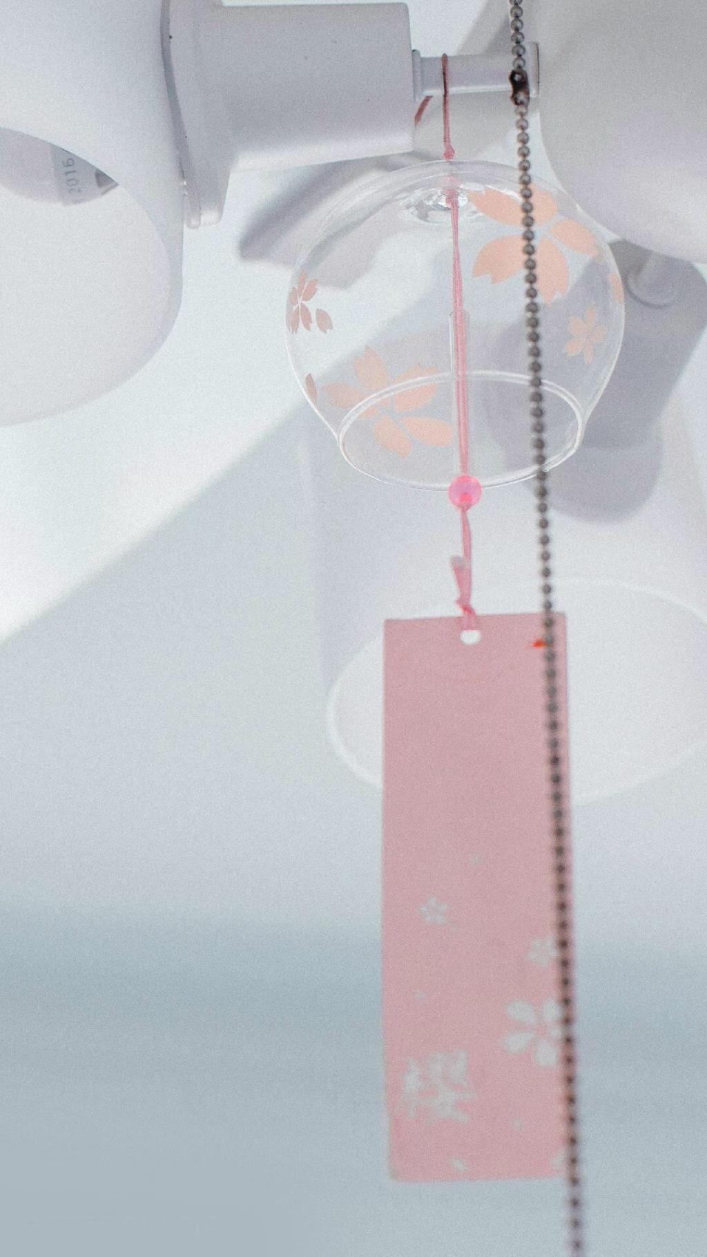 小清新治愈系静物