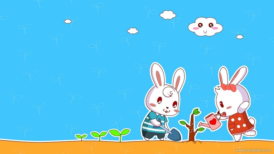 活泼可爱的兔小贝