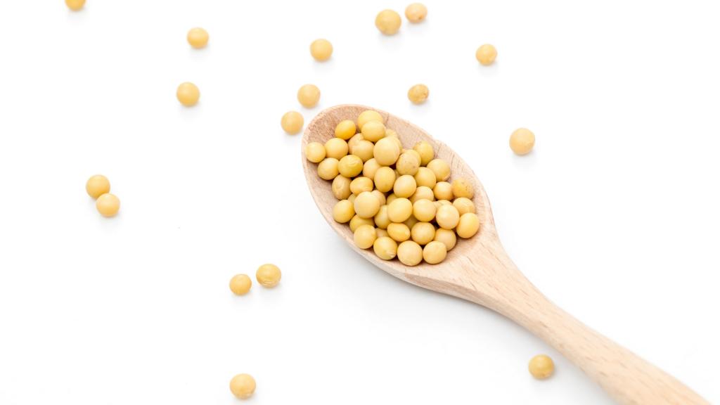营养丰富的黄豆