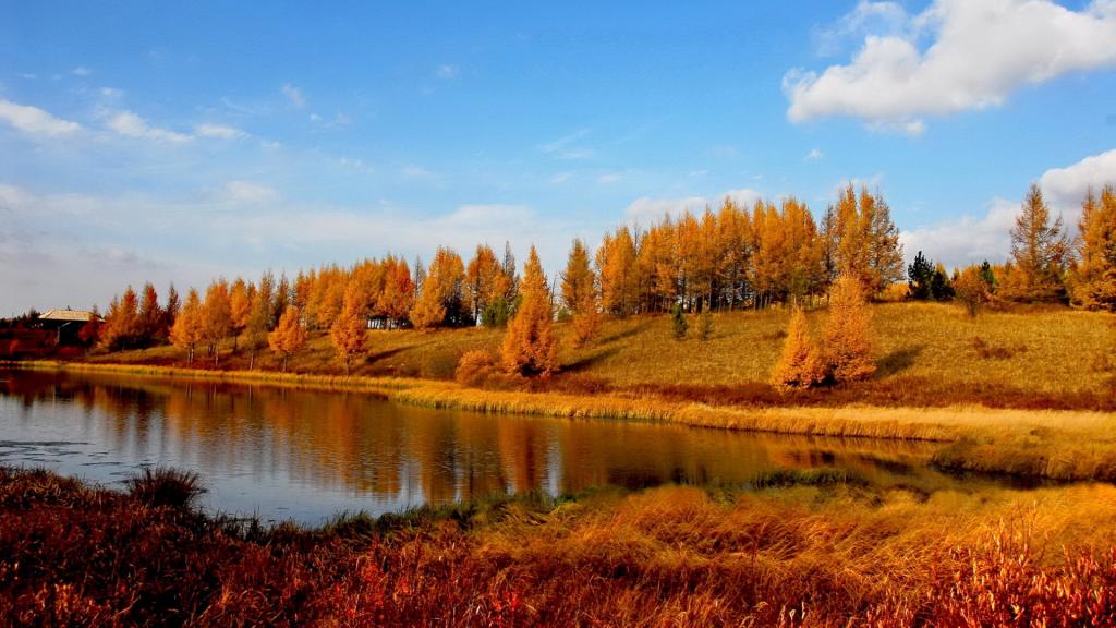 河北承德木兰围场风景