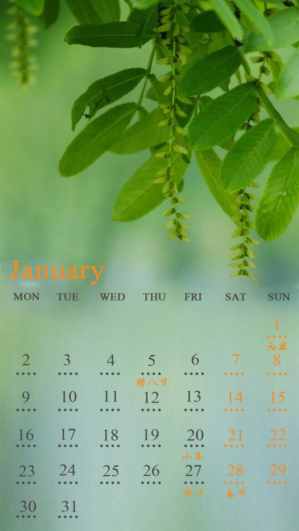 2017年1月绿色植物日历