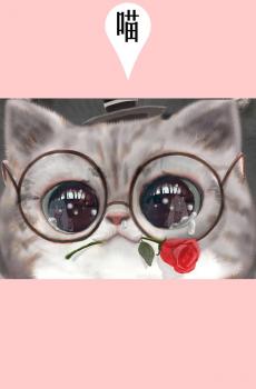 白茶作品喵老大系列-5