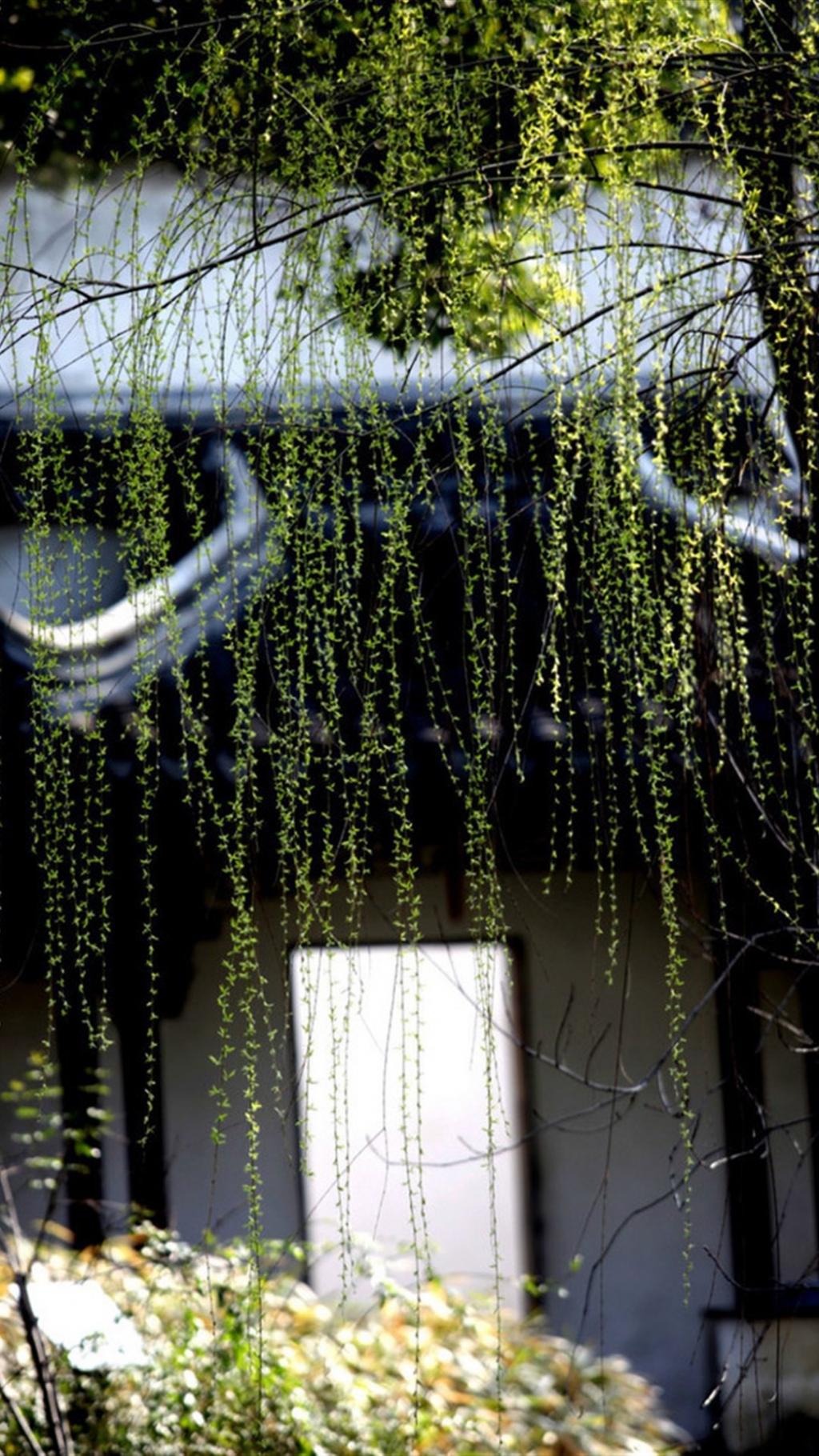 清新唯美古建筑风光