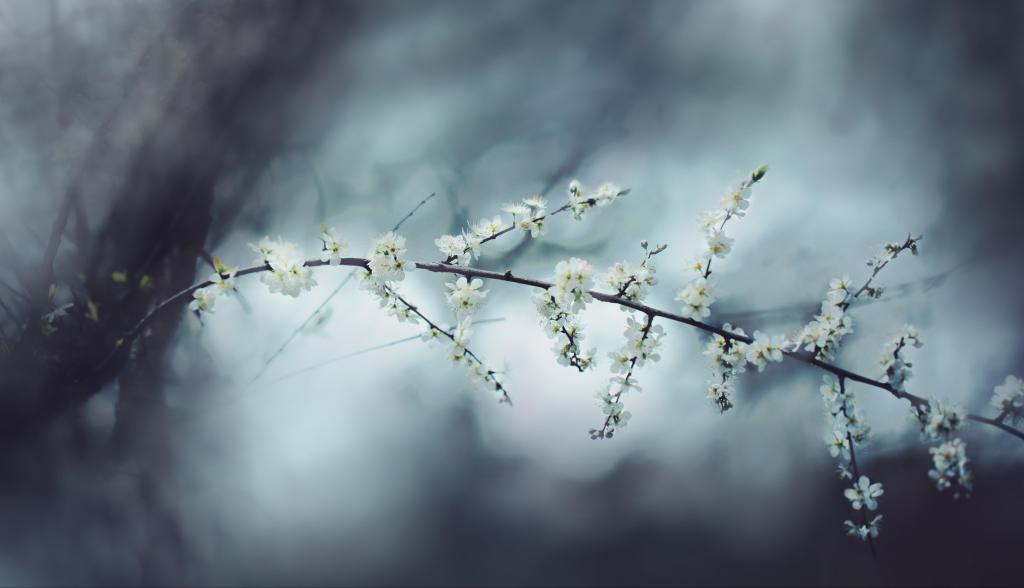 浪漫迷人的花花世界