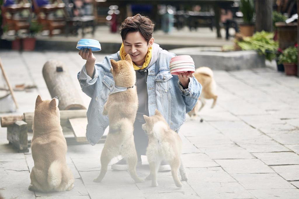 综艺《向往的生活3》