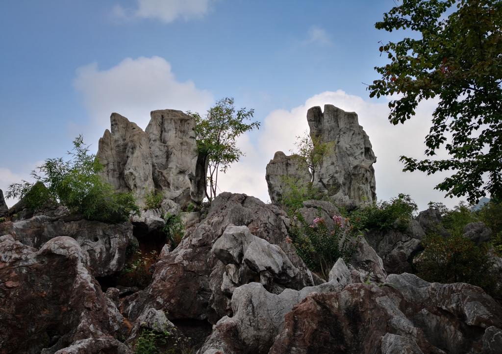 千岛湖石林风光
