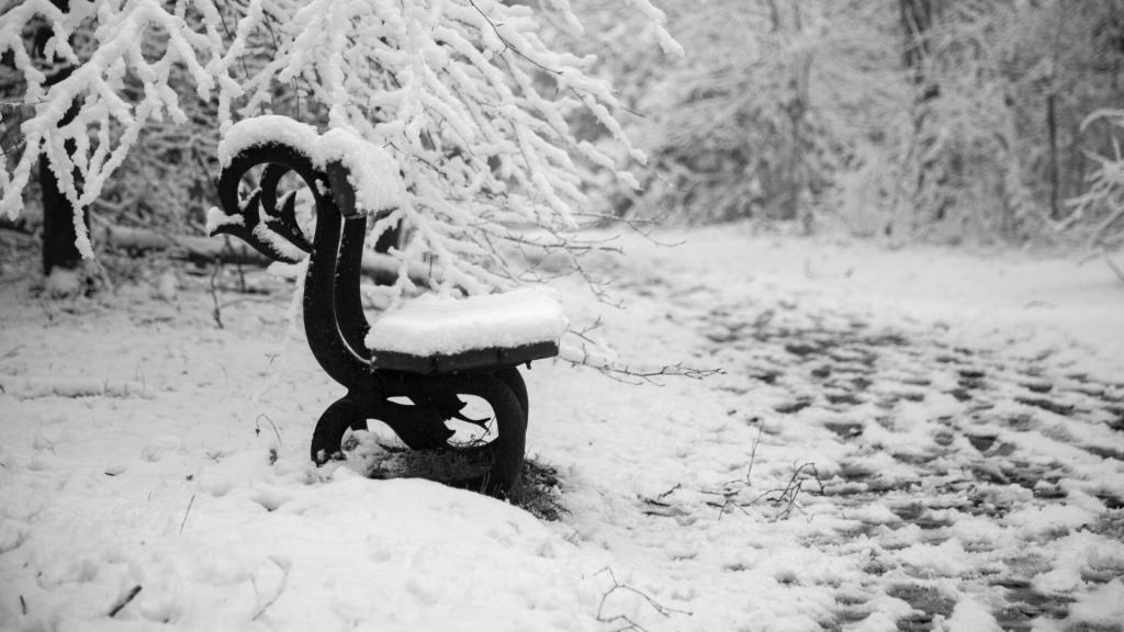 冬季雪地公园的长椅