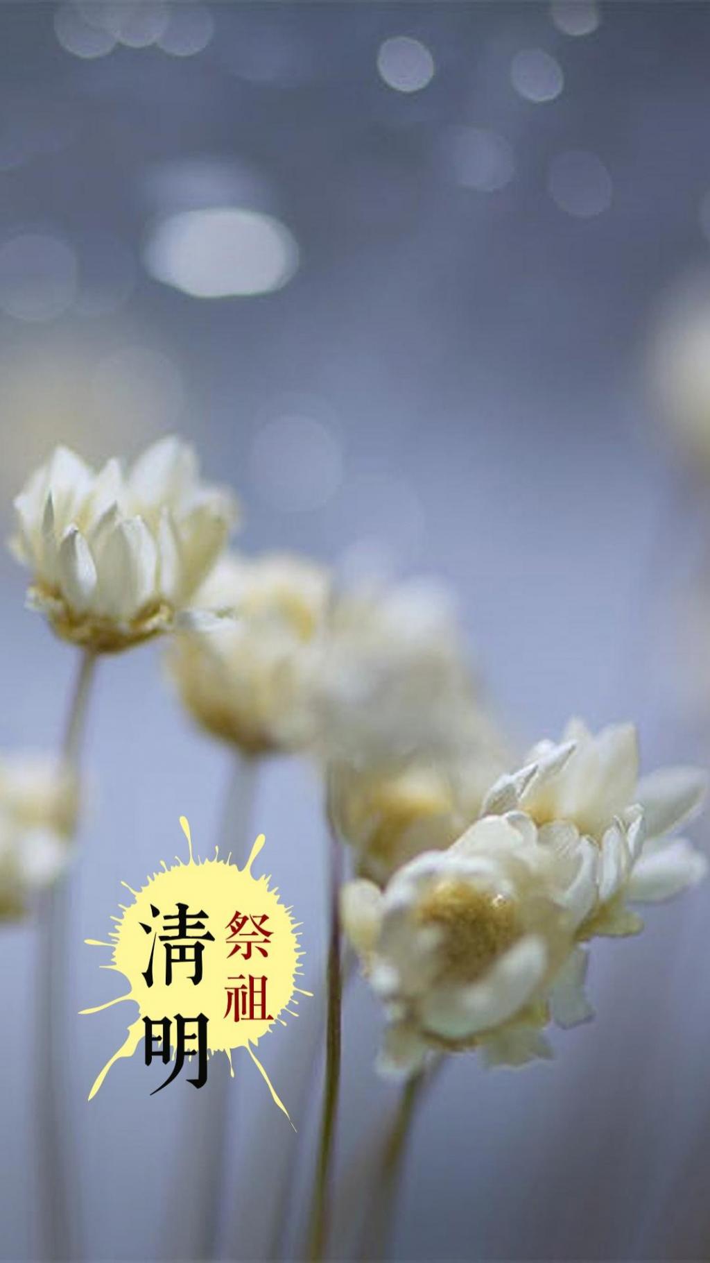 迎接清明时节到来