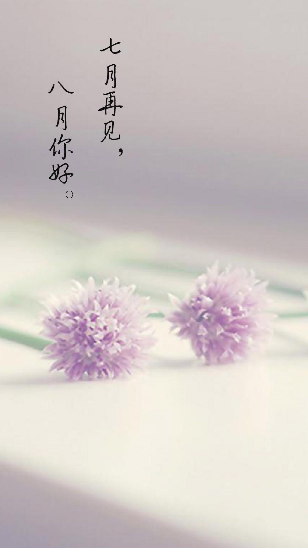 七月再见的简单配图