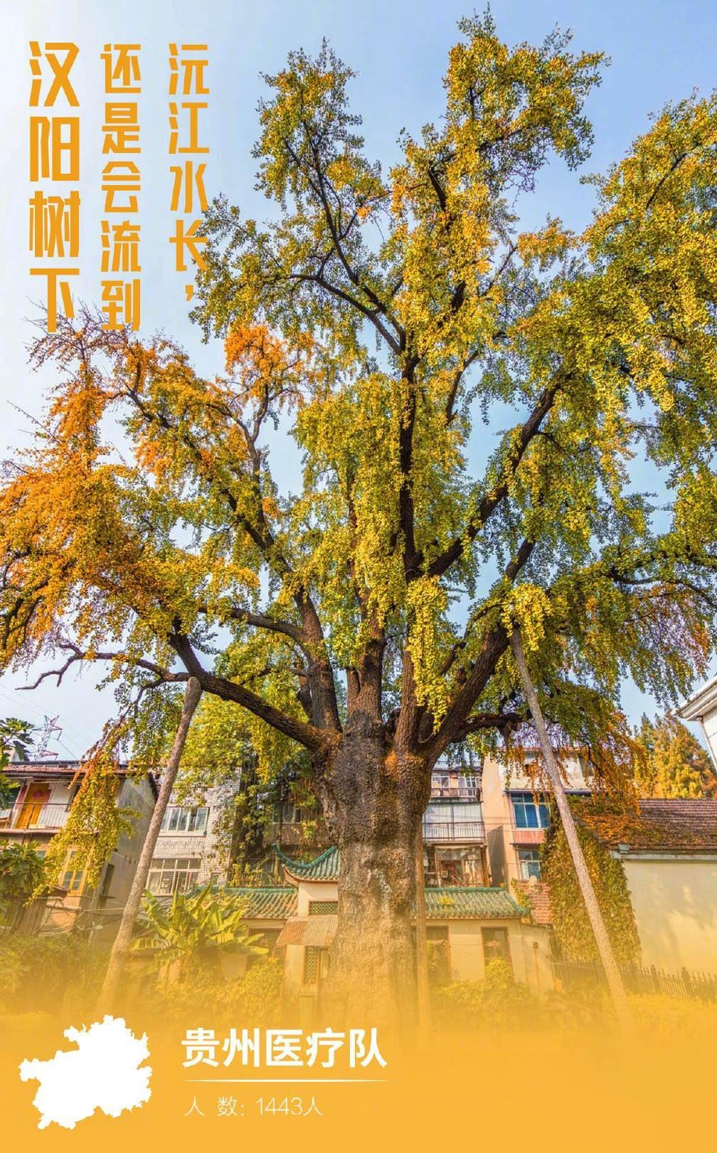 9涨武汉城市名片