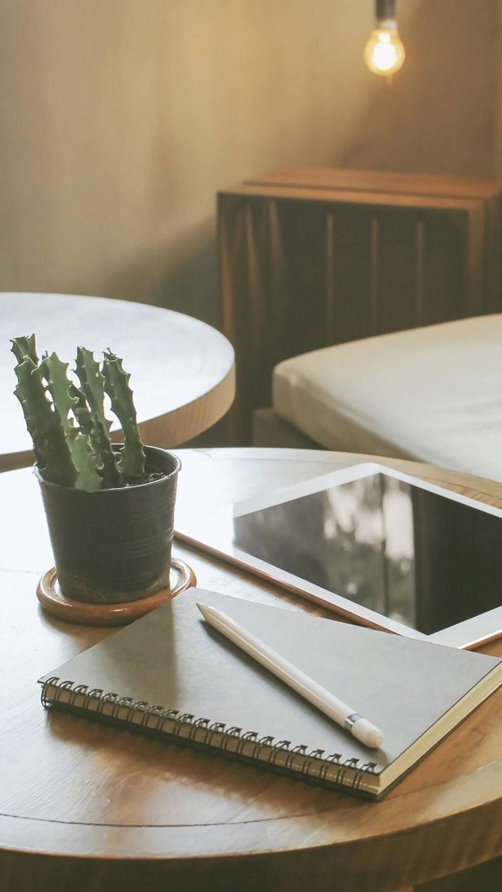 文艺小清新静物