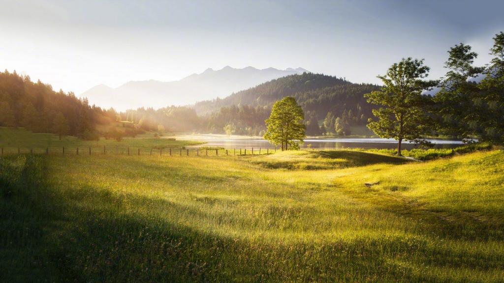 大自然的独特魅力