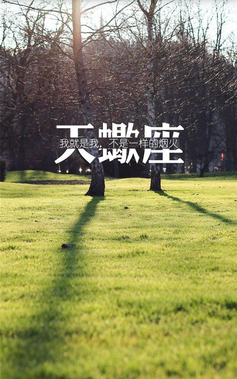 天蝎座文字创意写真