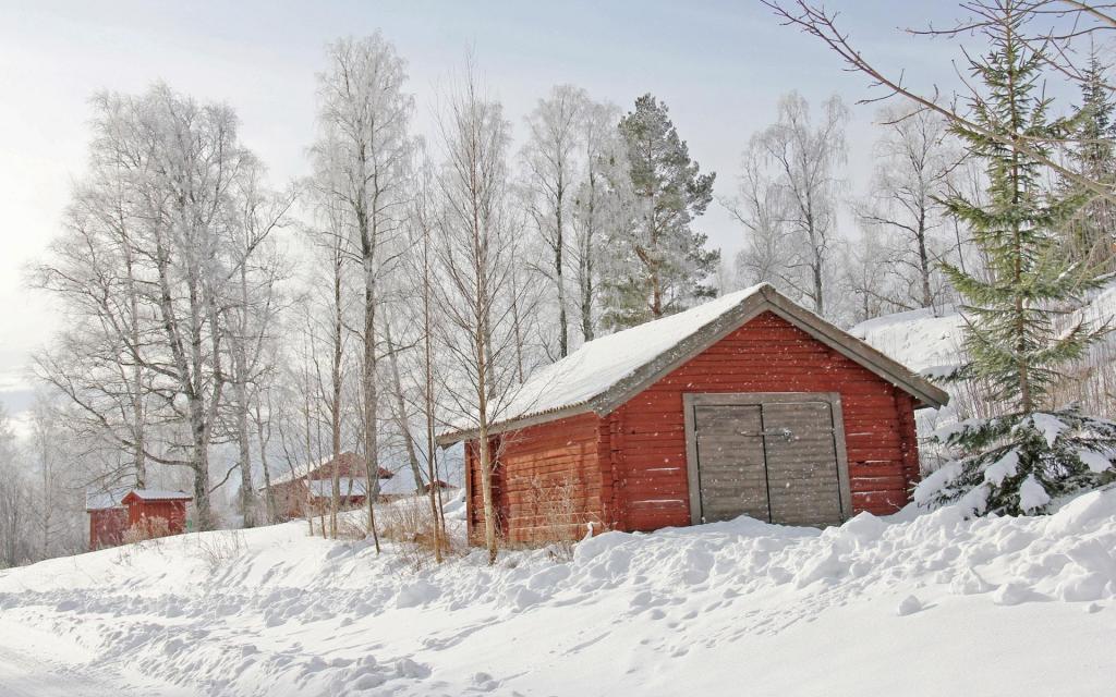 白茫茫的冬日雪景