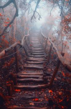 山道蜿蜒崎岖-2