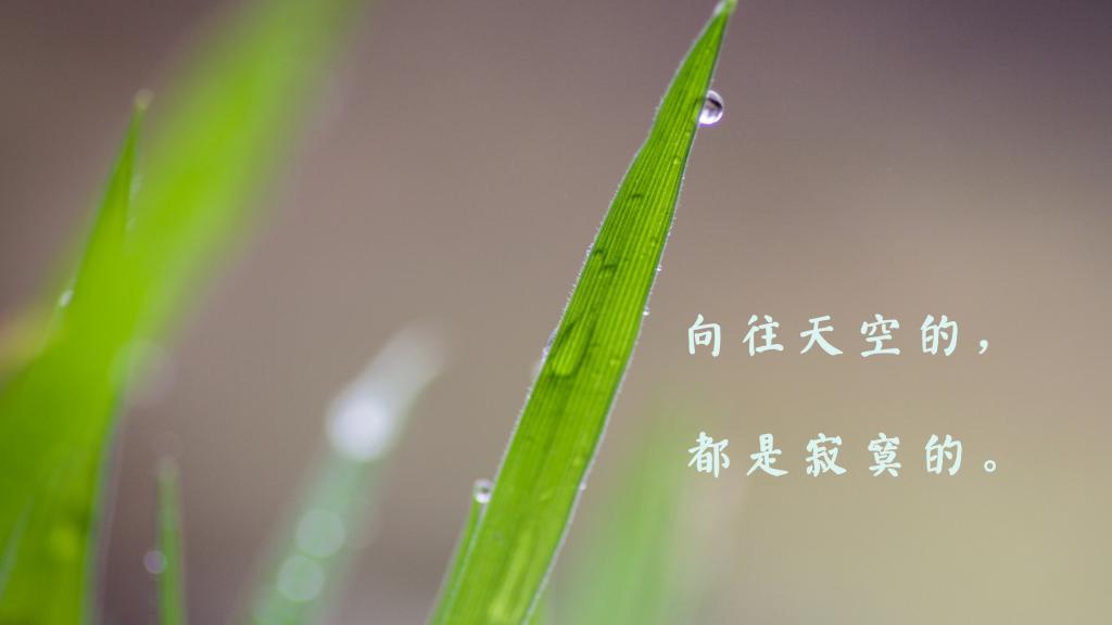 治愈系短句唯美清新图片