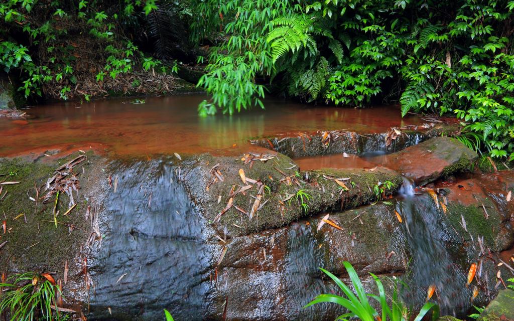 美丽的溪泉瀑布