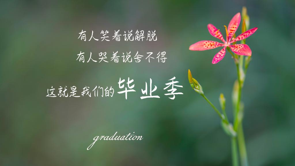 感人的毕业离别文艺短句子图片