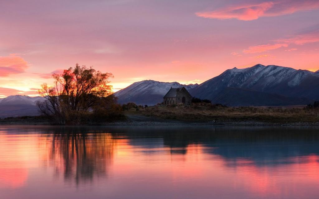 小清新绿色护眼风景