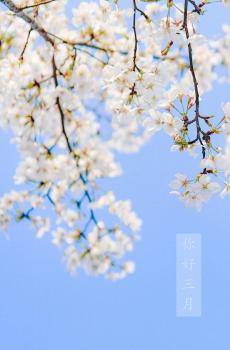 温柔的三月你好-2