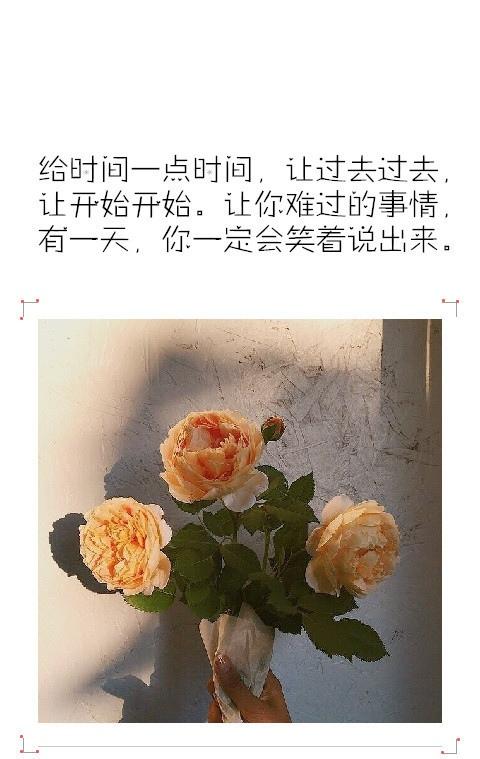 敏感忙碌爱情心情语录