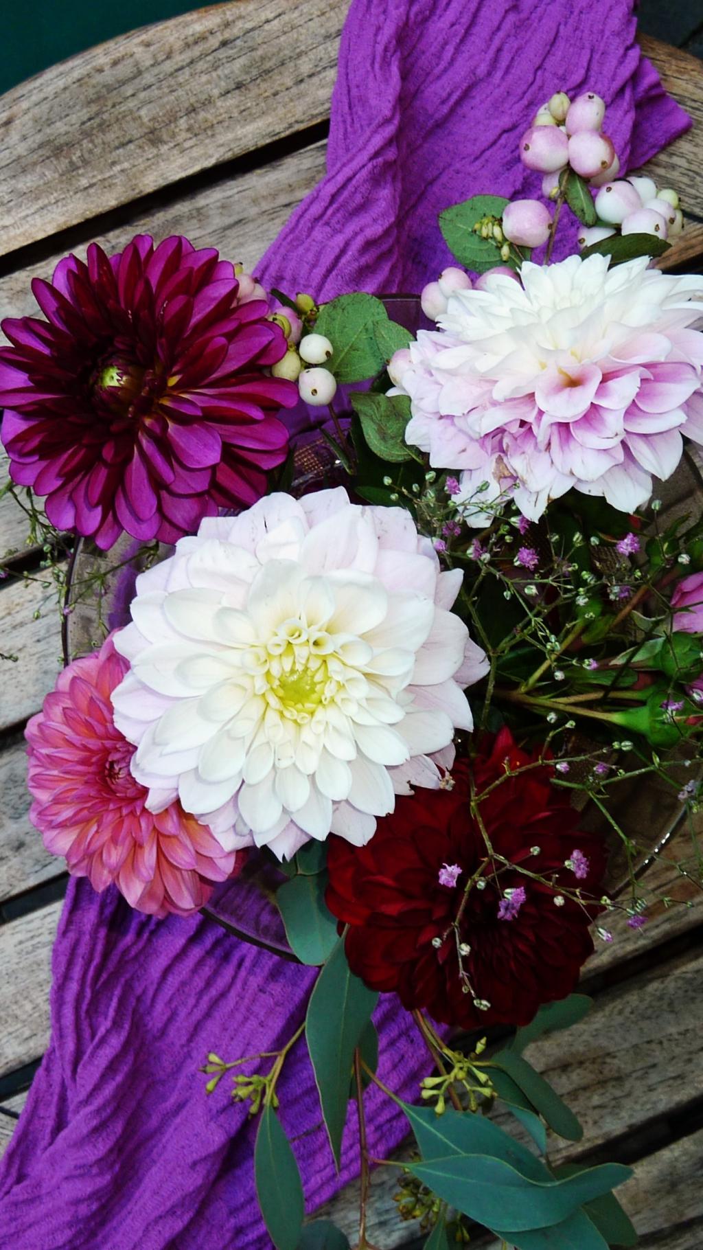 不太常见的紫花