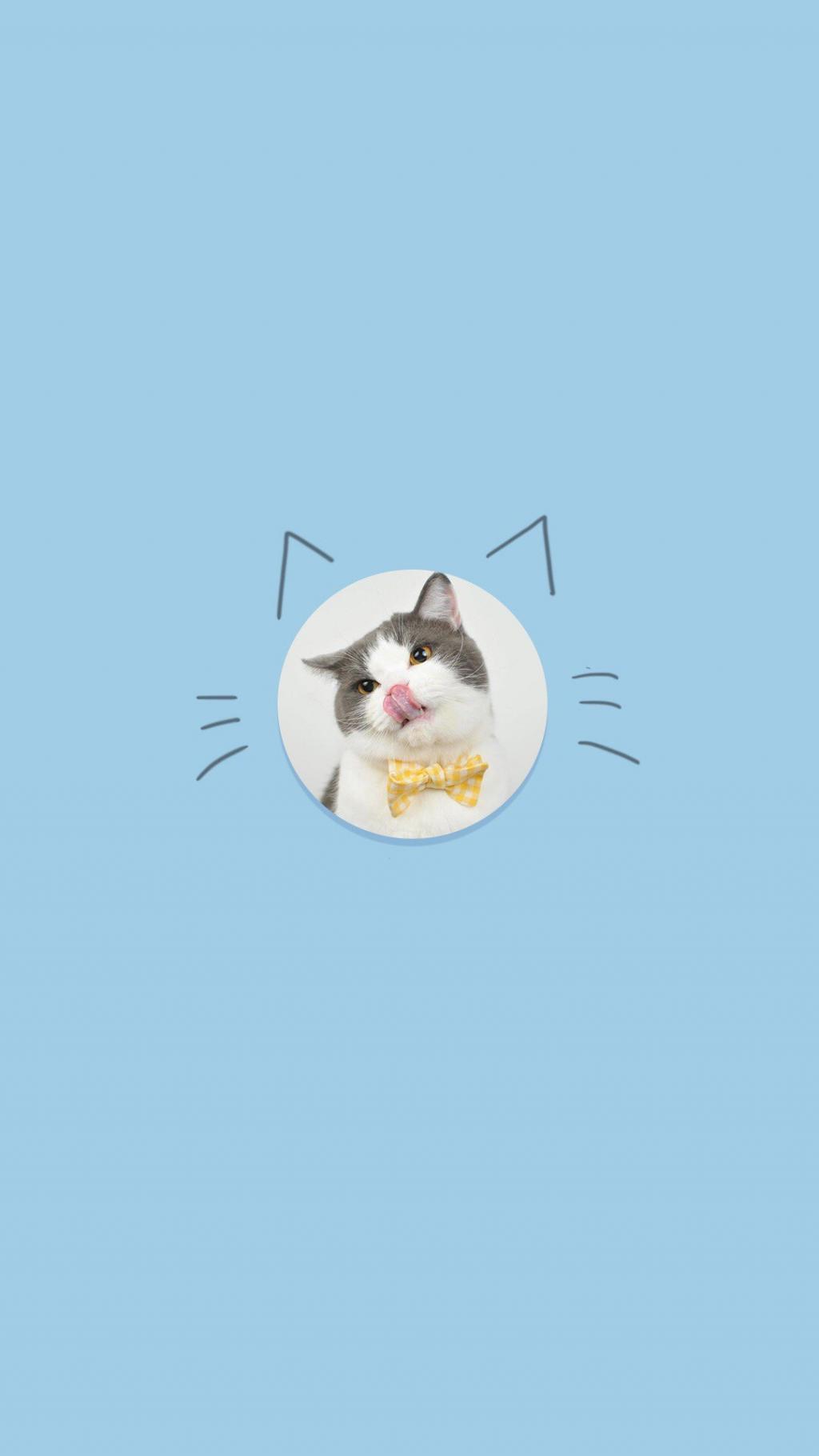 可爱宠物小猫创意表情