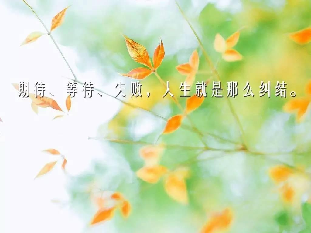 微信早安励志的句子致自己简短