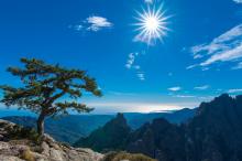 法国科西嘉岛风景