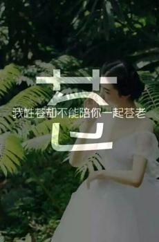 创意美女背景百家姓氏-5