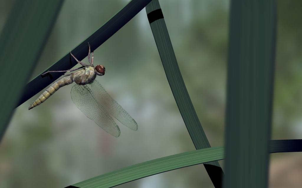 电脑3D精美设计