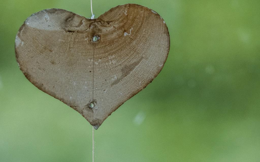 浪漫爱心创意写真