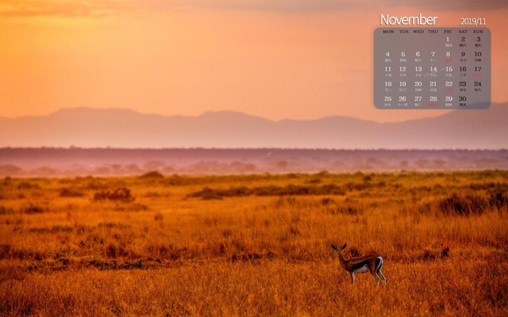 2019年11月金色非洲大草原日历