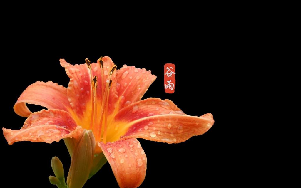 谷雨时节好,雨露强