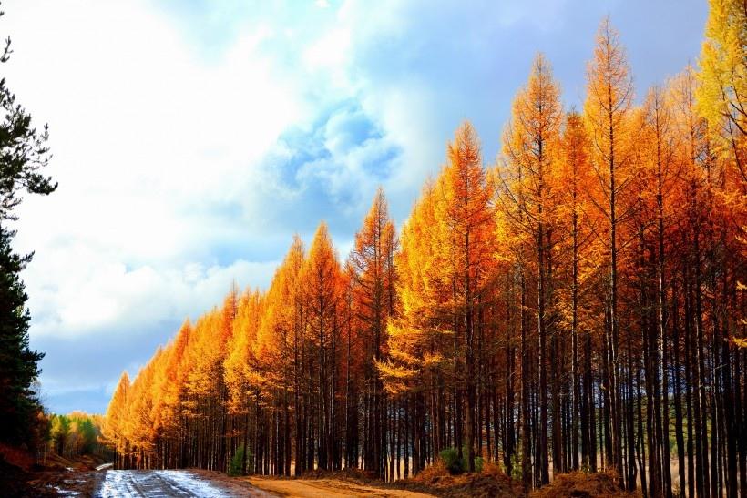 秋季大自然美丽风光