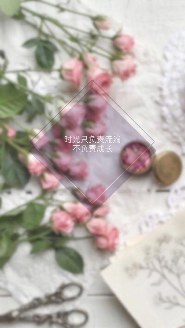 创意简约文字语录
