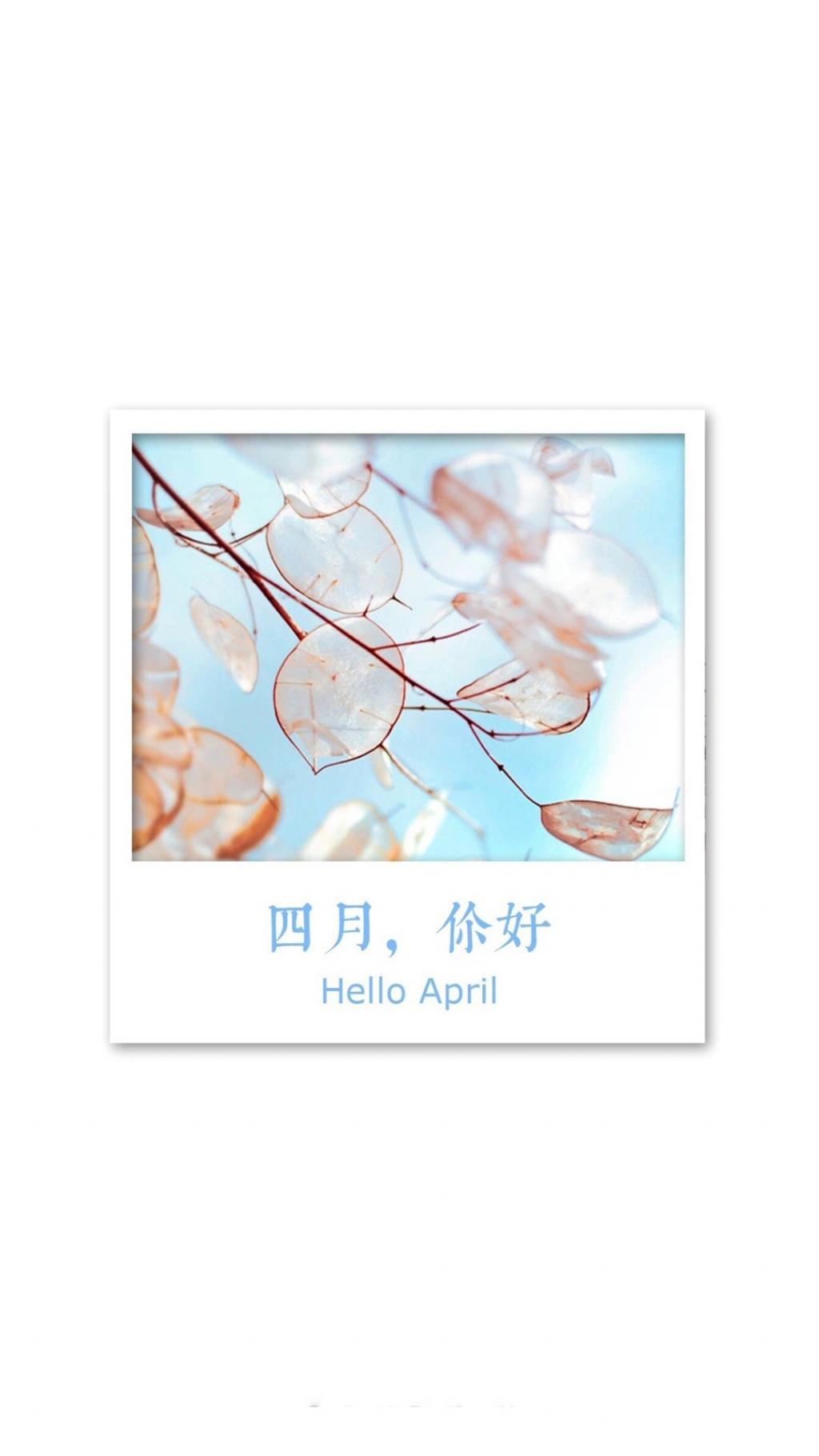 在四月遗落了谎言