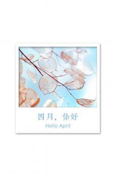 在四月遗落了谎言-0