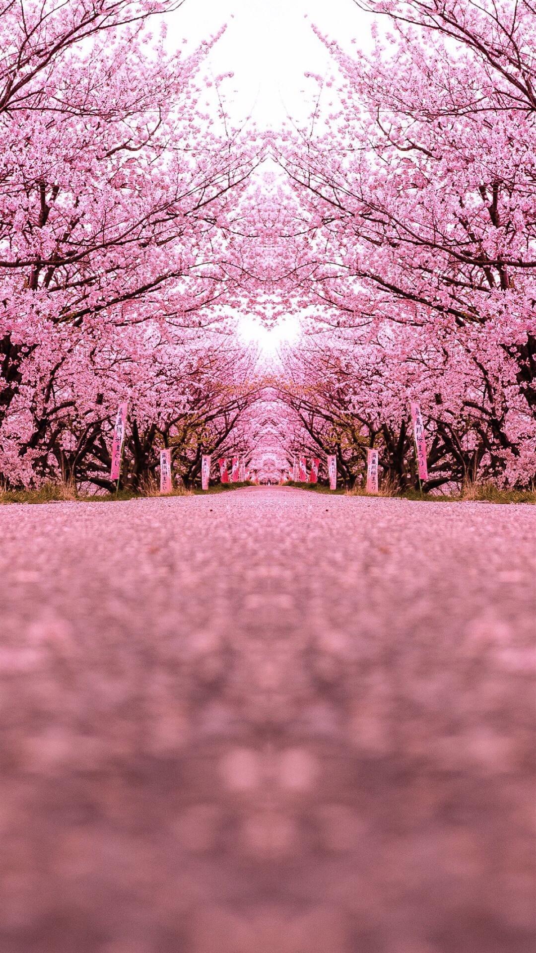 唯美仙境风景图片