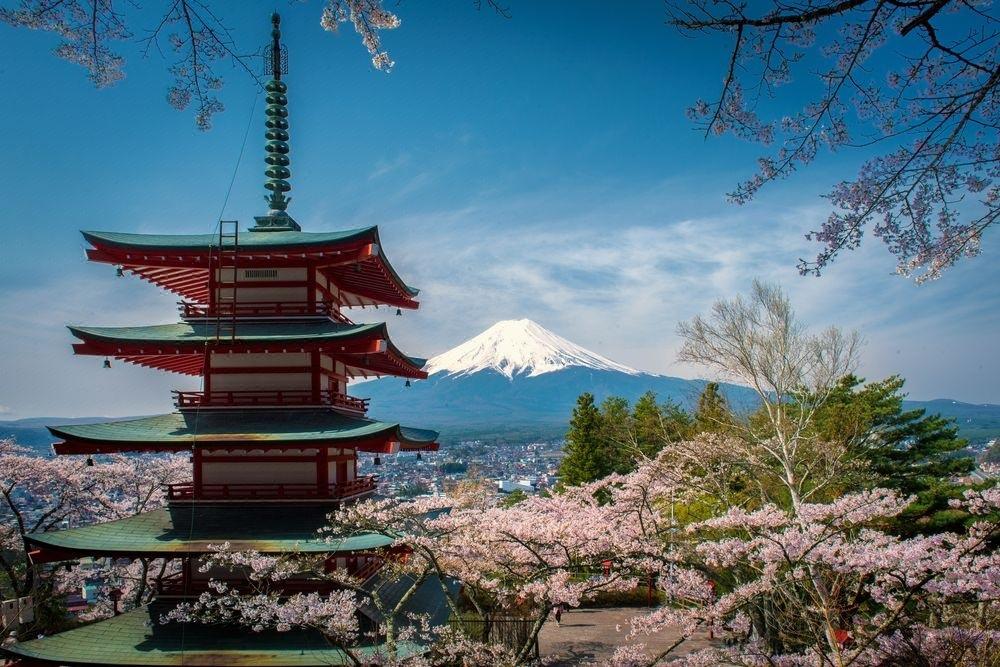 樱花浅语，淡抒流年