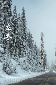 立冬节气自然景色-4