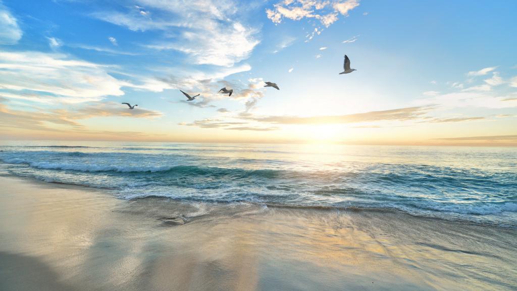 蓝色大海的传说