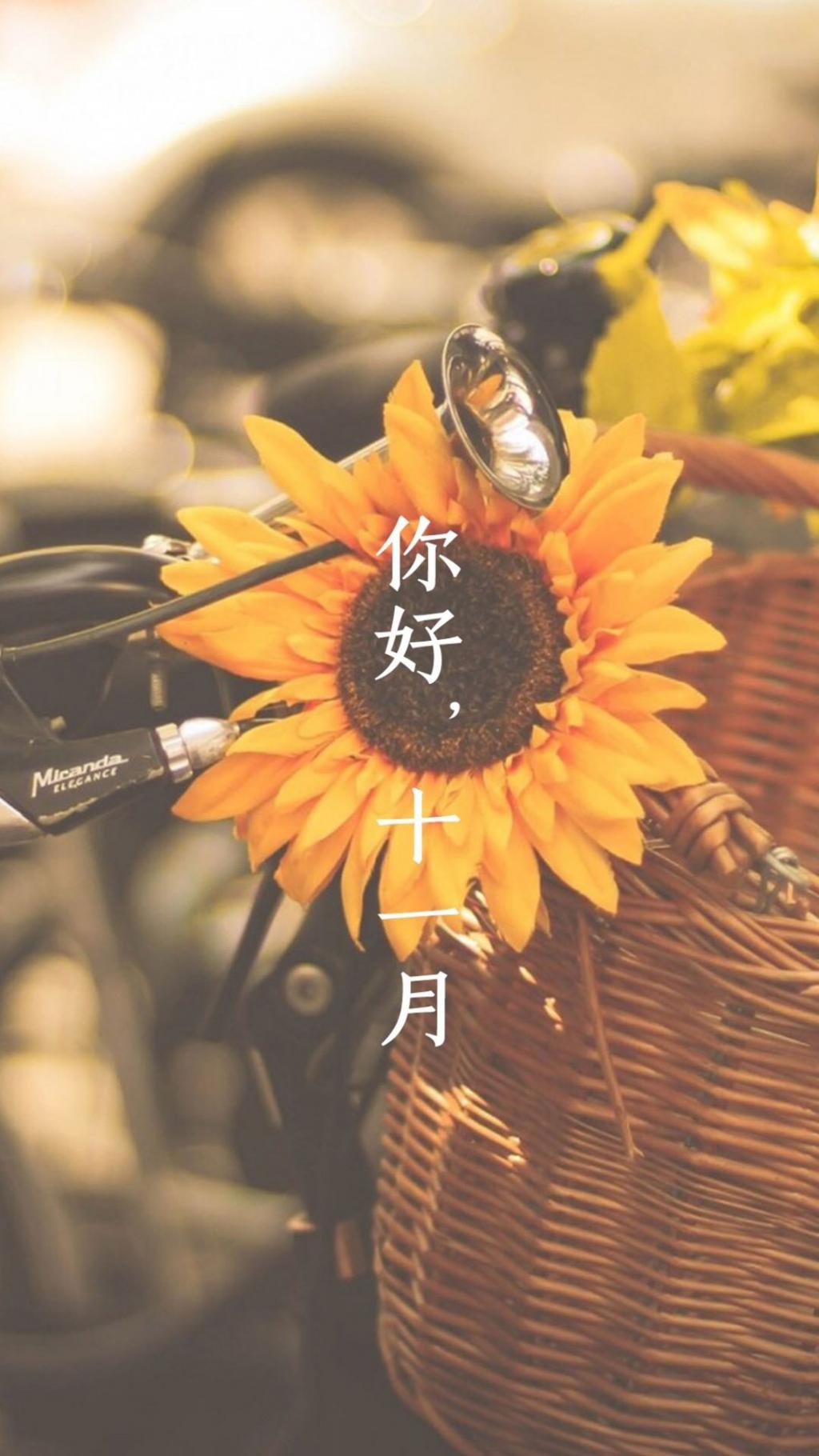 感谢十一月的到来